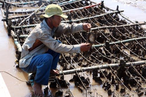 Hạn[-]hán,[-]mặn[-]xâm[-]nhập[-]nghiêm[-]trọng:[-]Mẹ[-]thiên[-]nhiên[-]ngày[-]càng[-]khắc[-]nghiệt[-]!